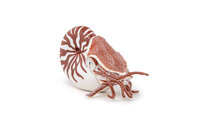 Papo 56061 Nautilus