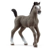 Schleich 13957 Selle Français Veulen