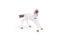 Papo 51510 Appaloosa veulen
