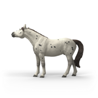 Schleich 14916 Knabstrupper Ruin