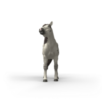 Schleich 14916 Knabstrupper Ruin