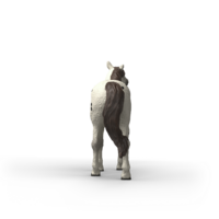 Schleich 14916 Knabstrupper Ruin