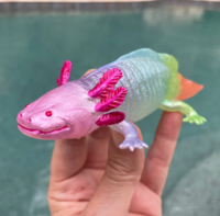 Safari 110487 Regenboog Axolotl