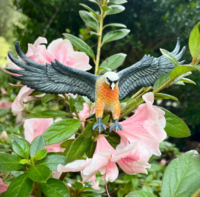 Safari  108200 Baardgier (Lammergier)