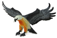 Safari  108200 Baardgier (Lammergier)