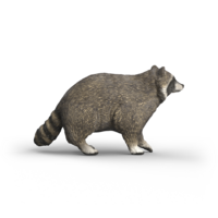 Schleich 14937 Wasbeer