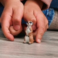 Schleich 14935 Stokstaartje