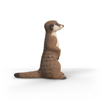 Schleich 14935 Stokstaartje