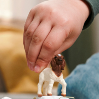 Schleich 14930 Boergeitenjong