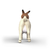 Schleich 14929 Boergeit