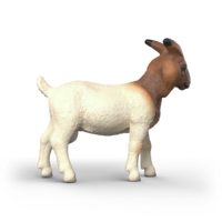 Schleich 14929 Boergeit