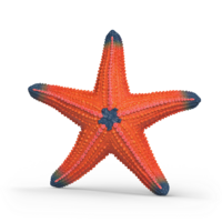 Schleich 14902 Zeester (kleurverandering)