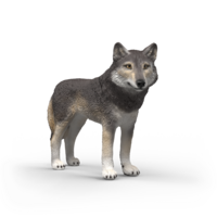 Schleich 14991 Wolf