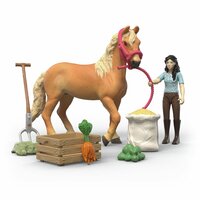 Schleich 42797 Emily's Verzorgingsset van Schleich