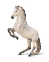 Lipizzaner Stallion Dapple grey van Collecta