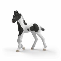 Schleich 81481 Verzamelveulen Rocky van Schleich