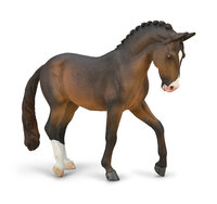 Trakehner Stallion Seal Bay van Collecta