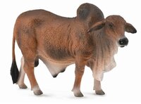 Red Brahman Bull van Collecta