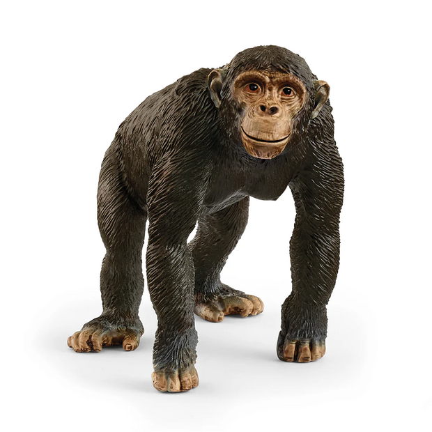 Schleich 14883 Chimpansee
