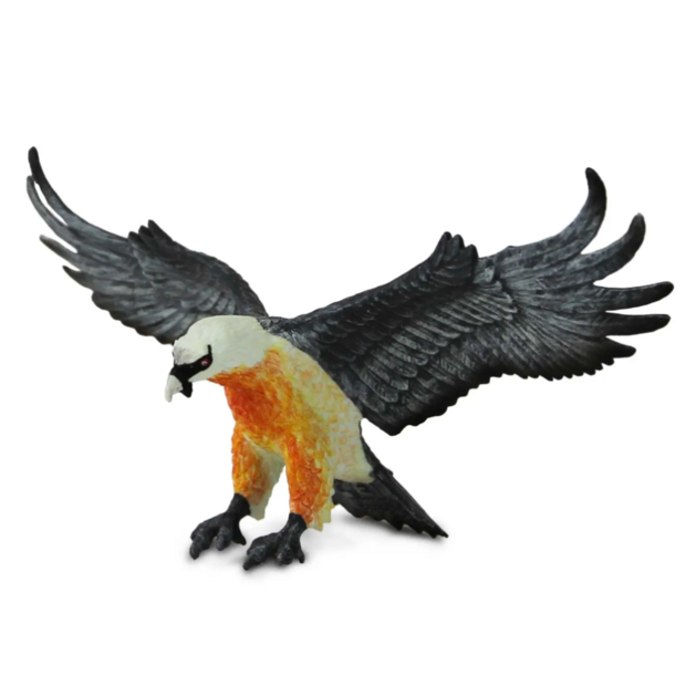 Safari  108200 Baardgier (Lammergier)