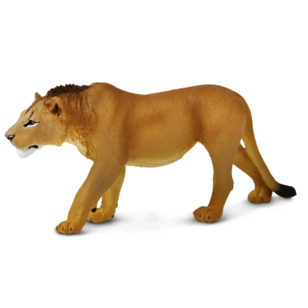 Safari 104992 Adolescente Leeuw