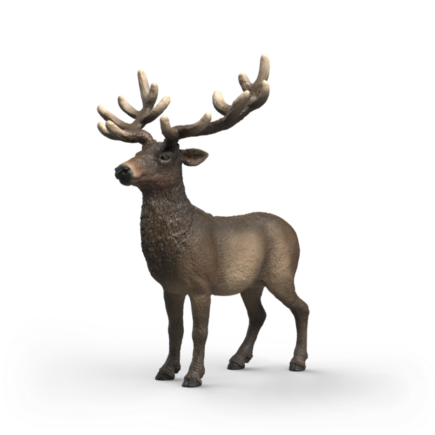 Schleich 14992 Amerikaans Edelhert (Eland)