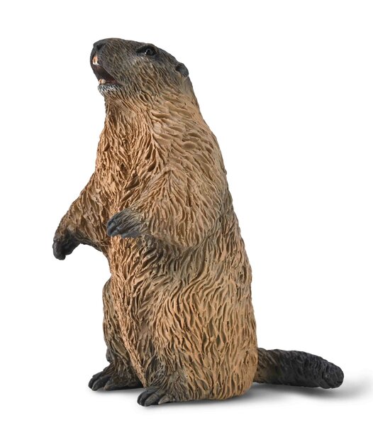 Collecta 80044 Marmot