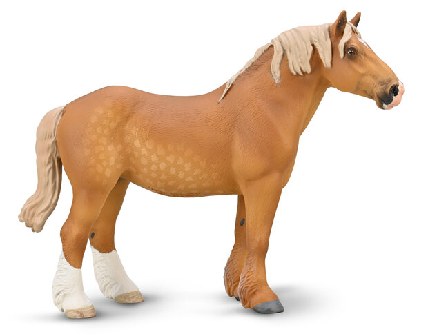 Belgian Mare Sorrel van Collecta