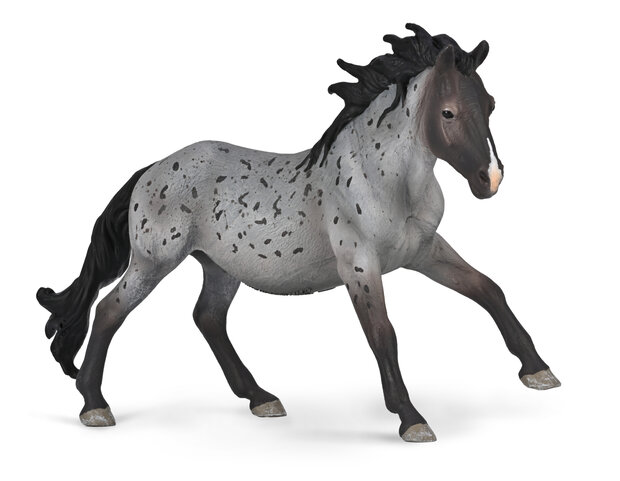 Nokota Stallion Blue Roan van Collecta