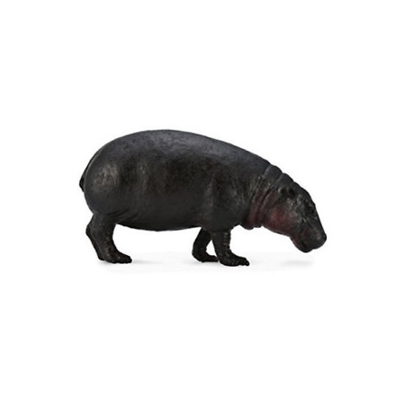 Collecta 88686 Pygmy Hippopotamus