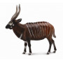 Collecta 88809 Bongo Antilope