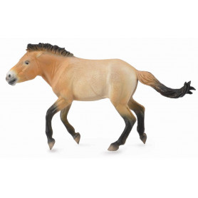 Collecta 88602 Przewalski Stallion