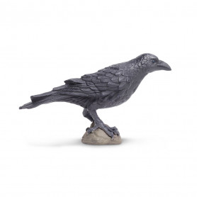 Safari 150829 Raven