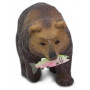 Safari 281929 Grizzly Bear
