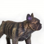 Safari 100304 FFranzösische Bulldogge