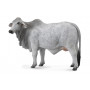Collecta 88580 Brahman Cow