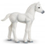 Safari 150605 Palomino foal