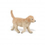 Safari 253229 Golden Retriever Puppy