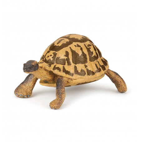 Papo 50264 Hermann's tortoise