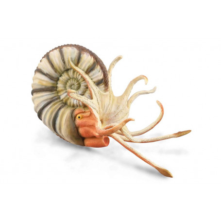 Collecta 88902 Pleuroceras Ammonite