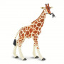 Safari 268429 Reticulated Giraffe