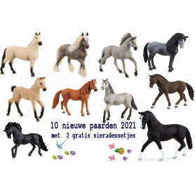 10 Nieuwe paarden 2021