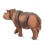 Safari 100103 Sumatran Rhino