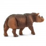 Safari 100103 Sumatran Rhino