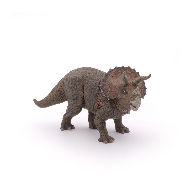 Meditatief Consulaat Pygmalion Triceratops is een geslacht van plantenetende ornithischische dino