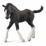 Collecta 88583 Shire Horse Fohlen schwarz