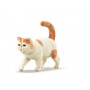 Collecta 88937 Exotic Shorthair Cat