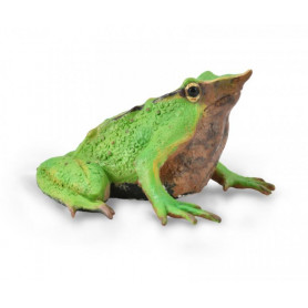 Collecta 88938 Darwin's Frog