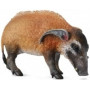 Collecta 88554 Red River Hog