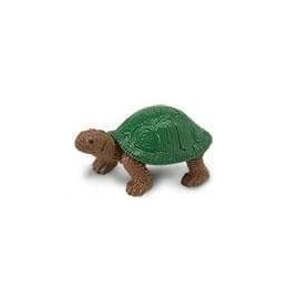 Safari Box Turtle
